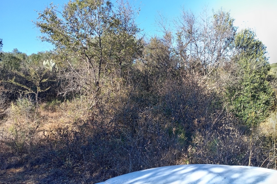 0 Bedroom Property for Sale in Koster North West